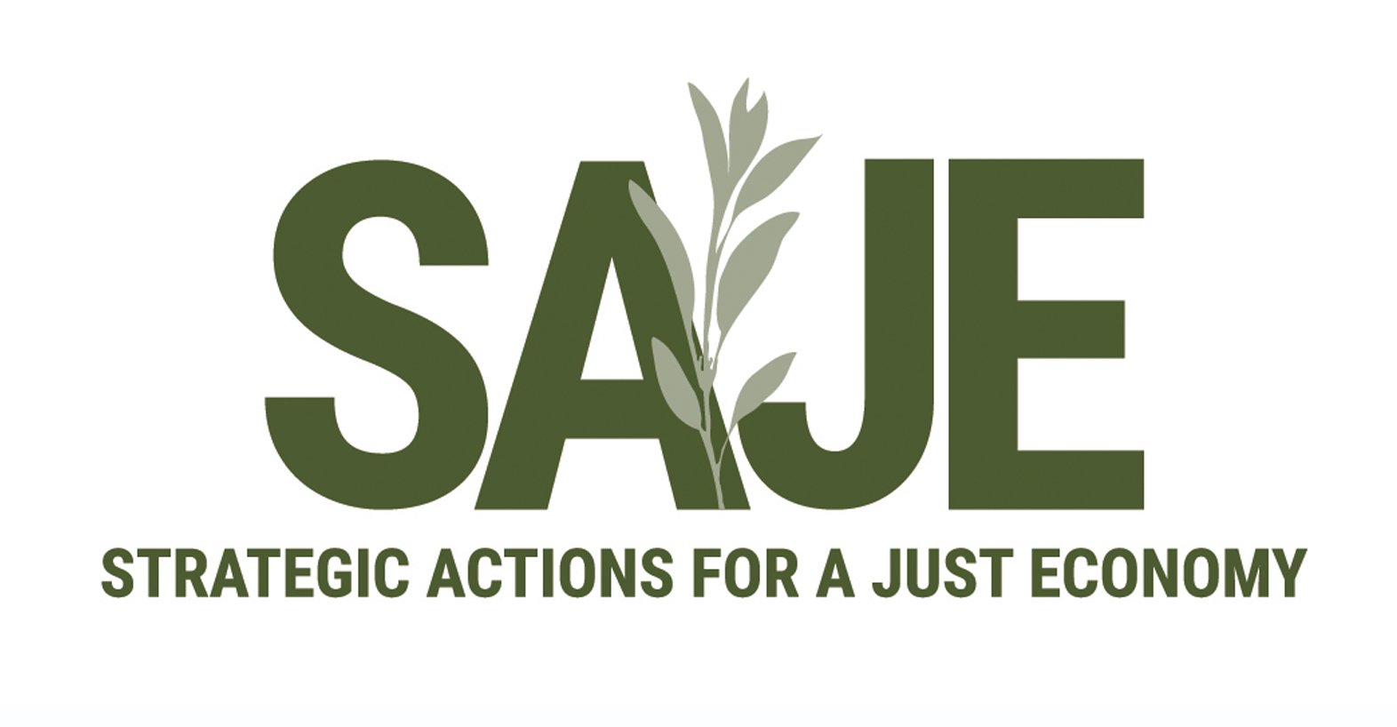 EJToolkit_Homepage-Logos-SAJE_2